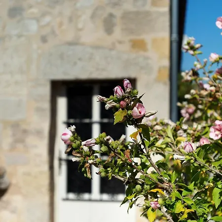 Chateau Laborde Caudalie Bed & Breakfast Saint-Medard-de-Guizieres